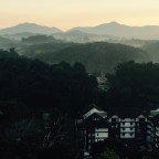 Cameron Highland Ride -Surat Thani